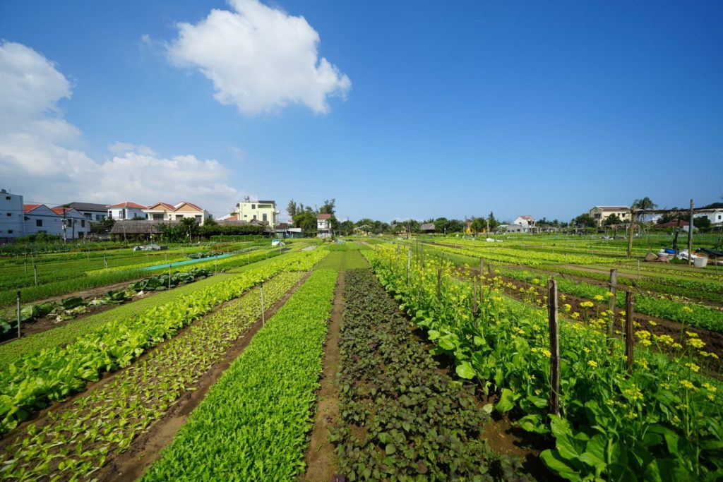 Sustainable Tourism in Hoi An: Creating Meaningful Travel Experiences – photo 7