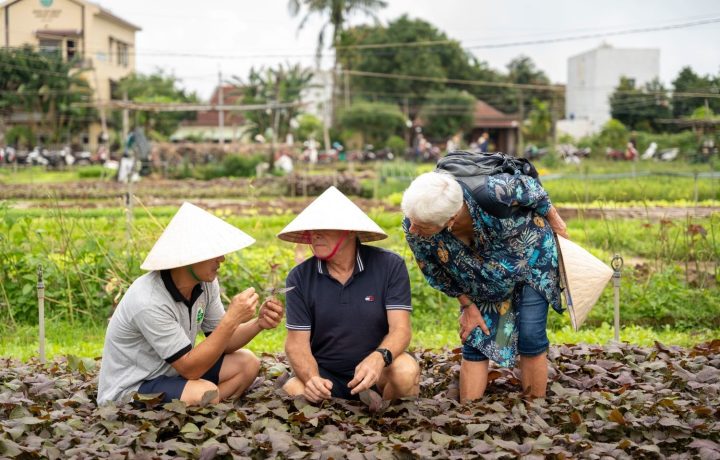 Sustainable Tourism in Hoi An: Creating Meaningful Travel Experiences