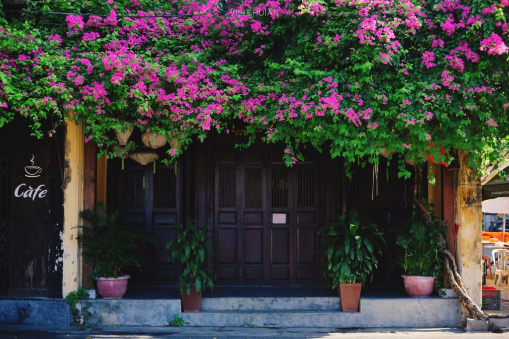 What Is The Best Time To Visit Hoi An Countryside? – photo 5