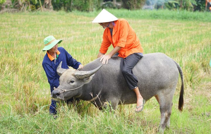 Discover Hoi An Countryside: A Journey Beyond the Ancient Town