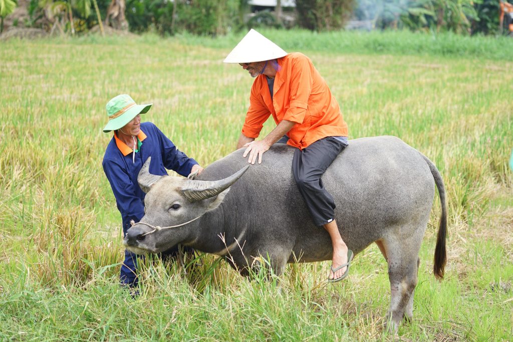 Discover Hoi An Countryside: A Journey Beyond the Ancient Town – photo 1
