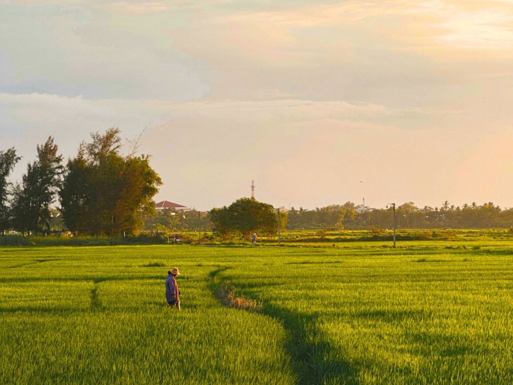 Thanh Tay Village: The Traditional Heart of Hoi An – photo 1