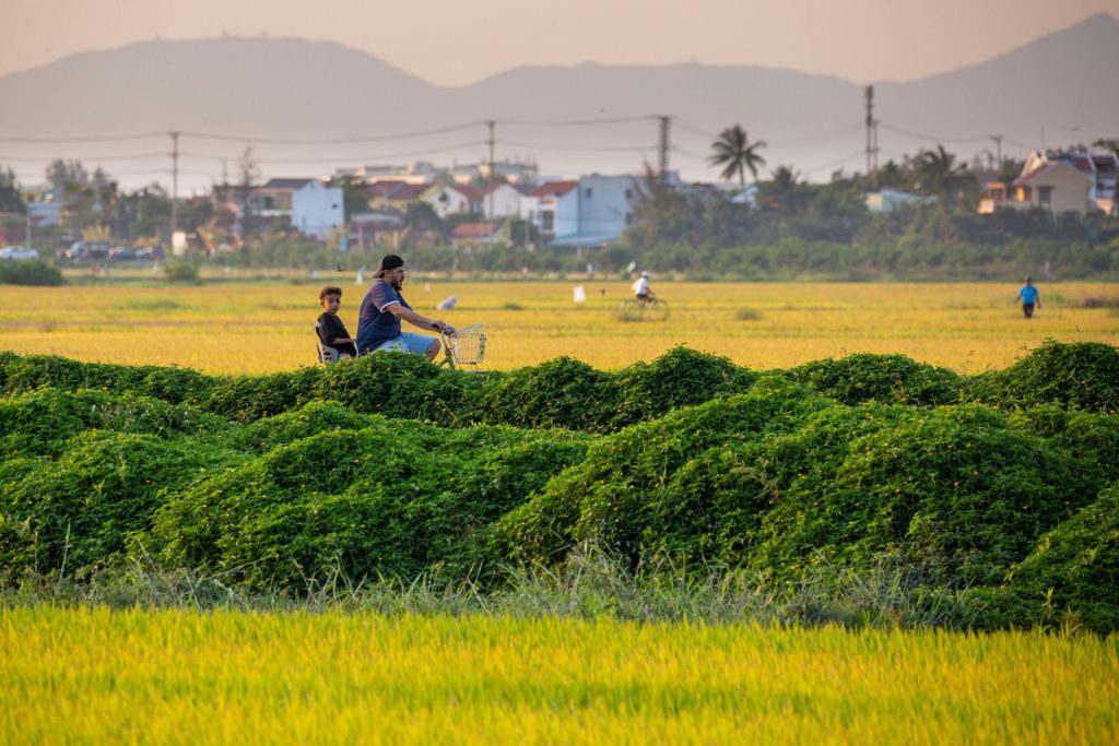 Thanh Tay Village: The Traditional Heart of Hoi An – photo 1
