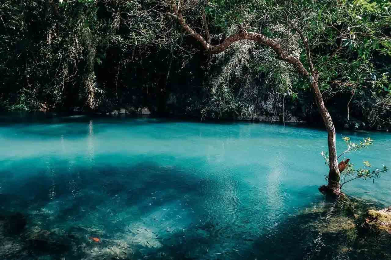 Clear blue pool in the forest near Pac Bo