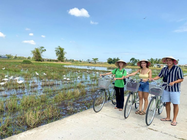 Cycling along the rice fields in the Hoi An countryside - Rose Travel