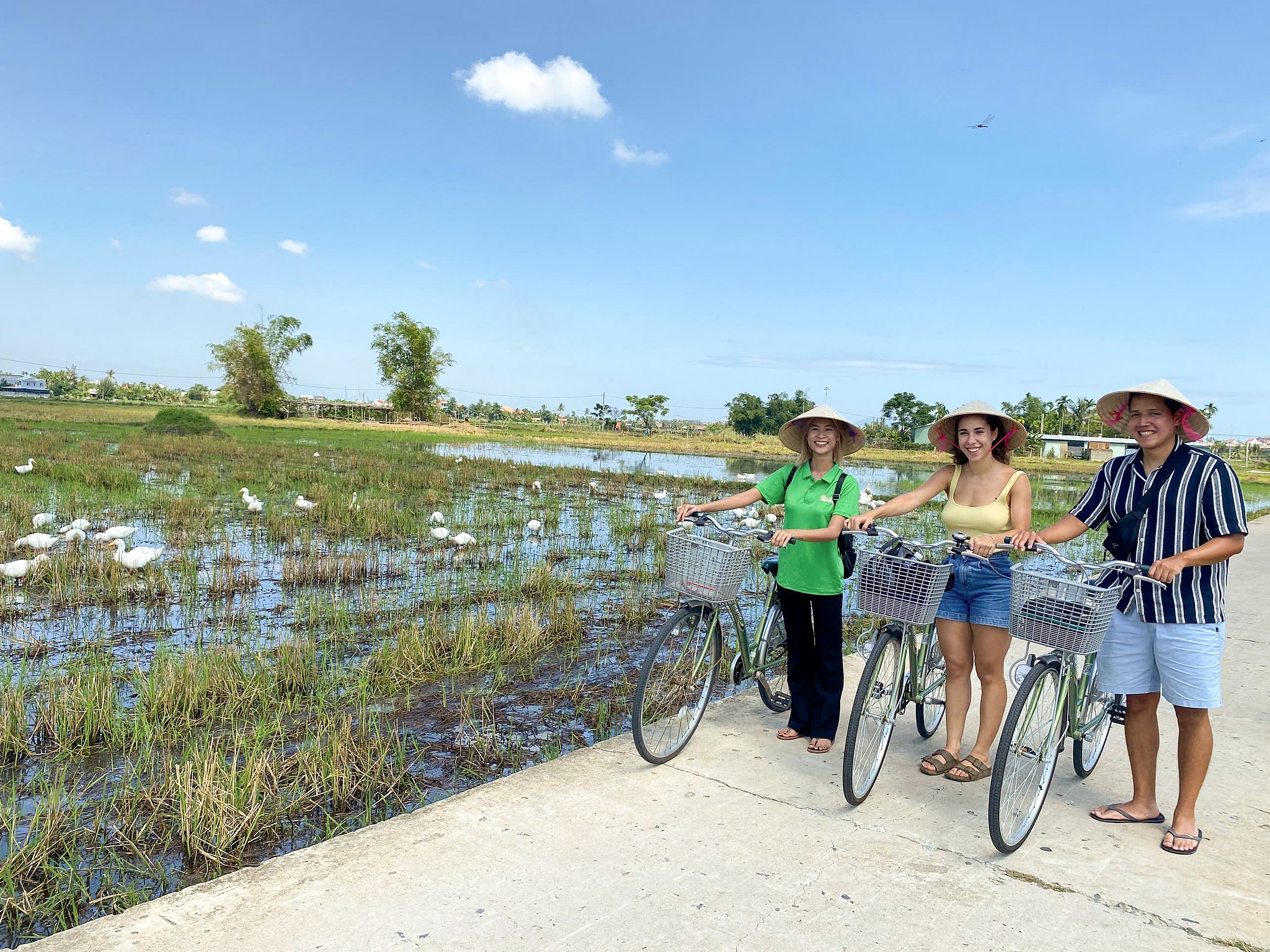 Cycling along the rice fields in the Hoi An countryside