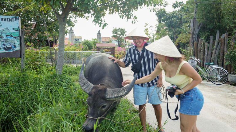 Meeting a water buffalo on a countryside bike tour - Rose Travel