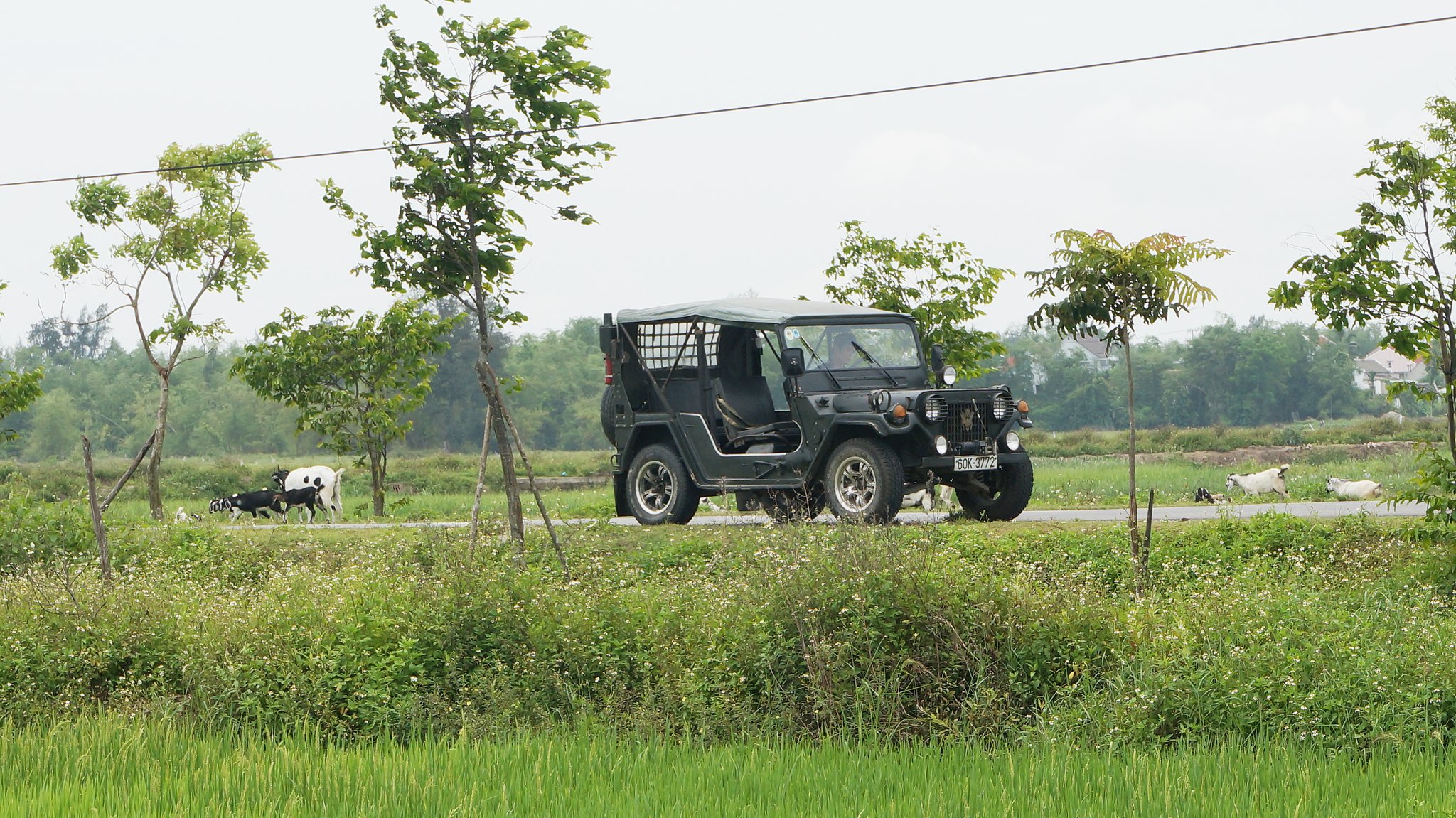 Hoi an Countryside Jeep, Farming & Basket Boat Experience – photo 10