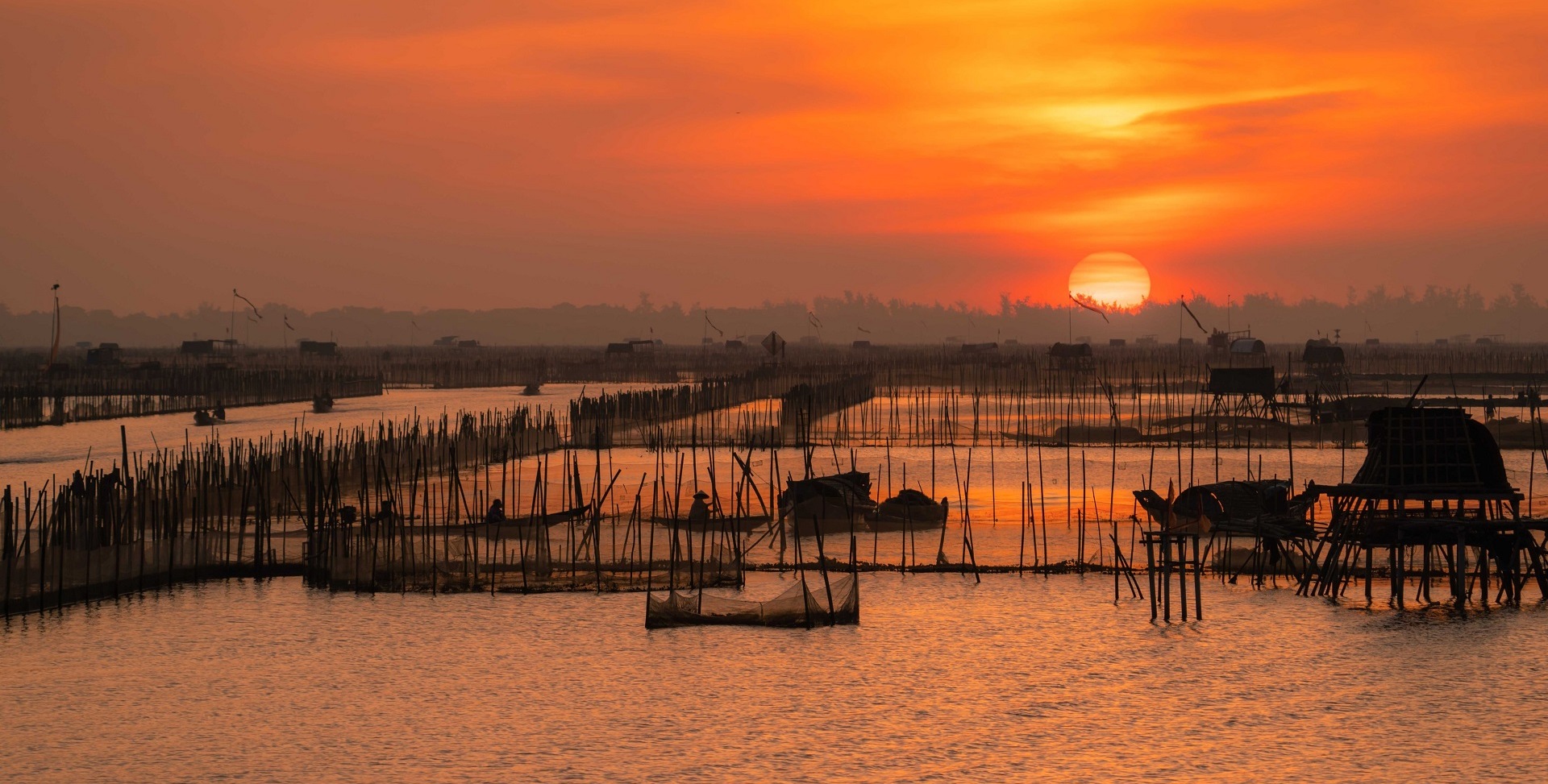 Fish traps silhouetted against the sunset on Tam Giang Lagoon