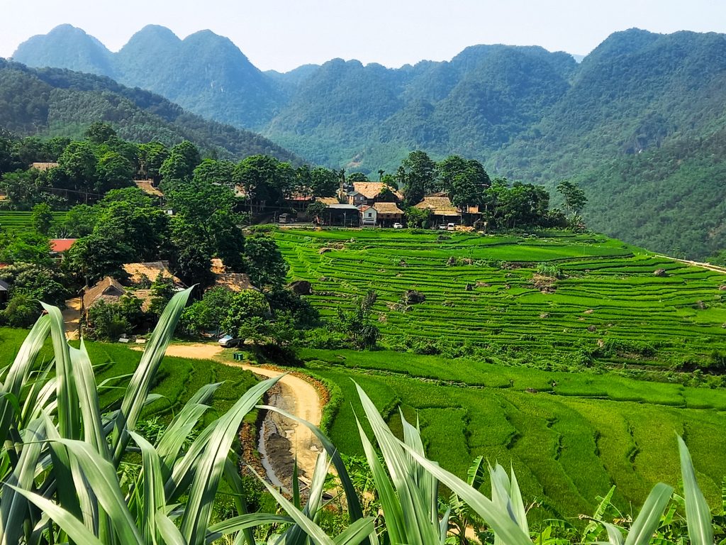Stilt-house village among green terraces in Pu Luong