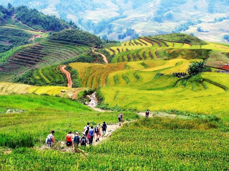 Trekking group on a trail through the Sapa rice terraces - Rose Travel