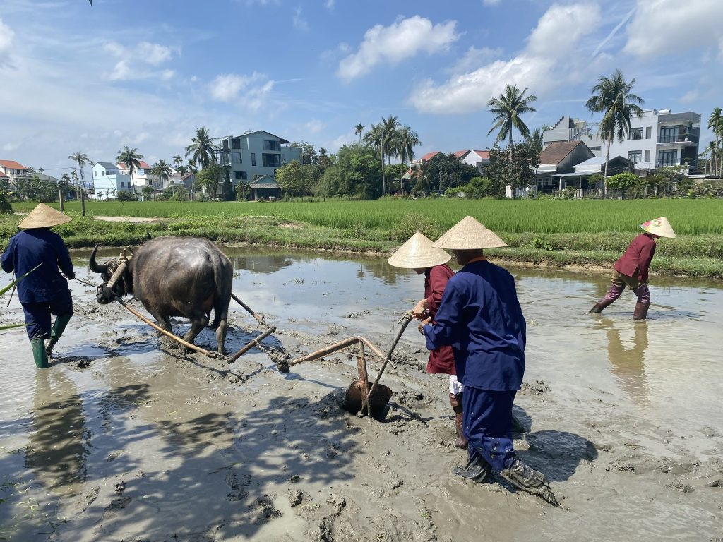 The New Luxury of Travel: Why Slow, Meaningful Journeys Are Defining Vietnam in 2026 – photo 10