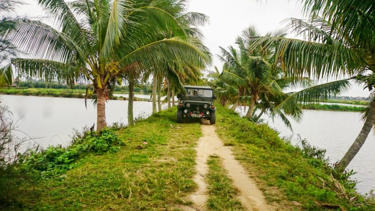 Vintage US Army Jeep on a countryside trail